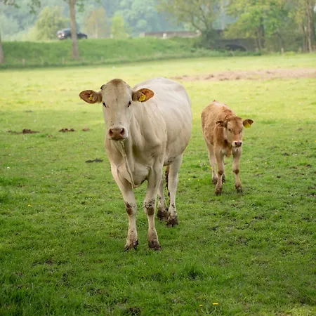 Casa de Férias Aan 't Laantje *