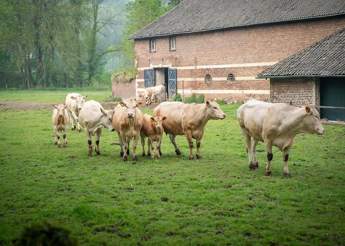 Aan 't Laantje Dom wakacyjny *