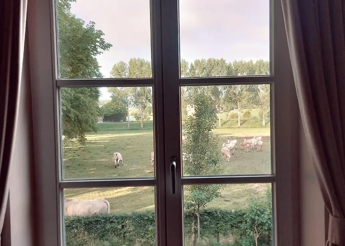 Dom wakacyjny Aan 't Laantje *