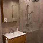 度假居 Aan 't Laantje *